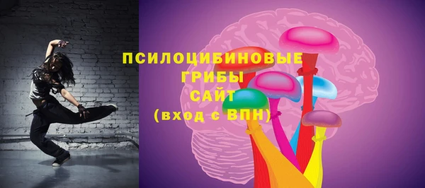 дурь Надым