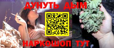 тгк Котовск