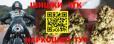 тгк Котовск