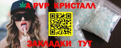 тгк Котовск