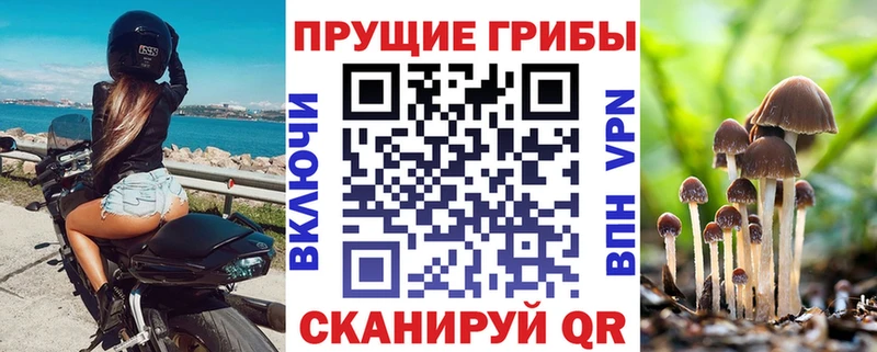 Галлюциногенные грибы мицелий  где купить наркотик  Ялта 
