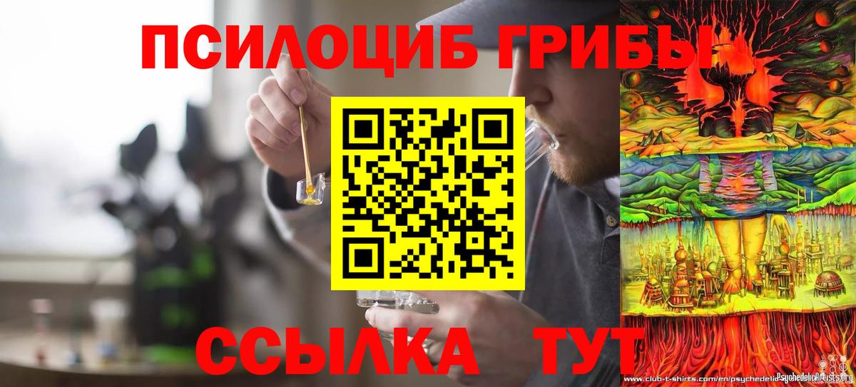 Галлюциногенные грибы Psilocybine cubensis Ялта