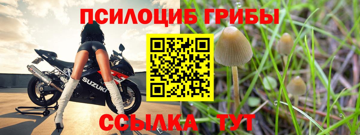 Псилоцибиновые грибы Magic Shrooms  Псилоцибиновые грибы GOLDEN TEACHER  Ялта  закладка  Вход с VPN 